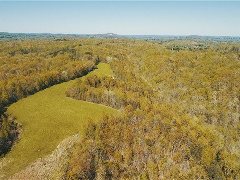 New Video, Off Grid, Farm Woodland Land for Sale in Liberty, Casey