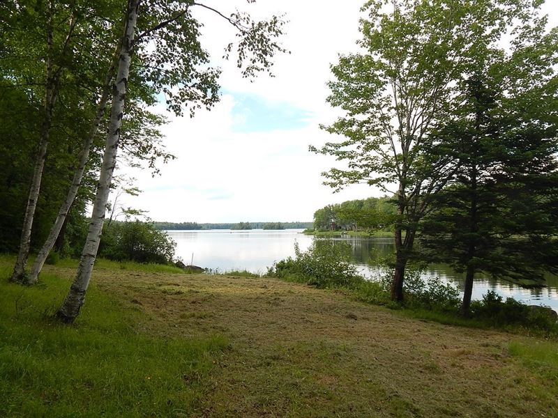 Maine Lakefront Cabin Molunkus Twp : Molunkus : Aroostook County : Maine
