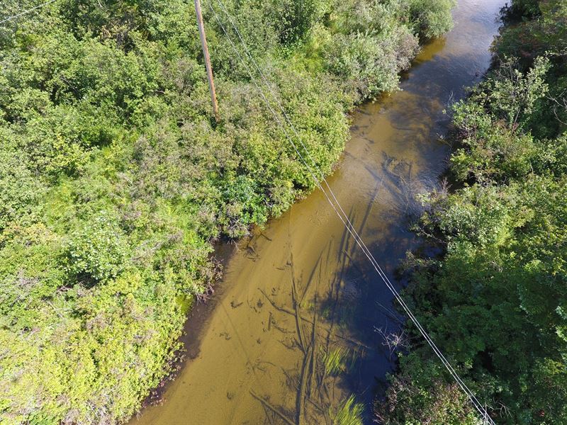 Acreage Thunder Bay River Atlanta, Land for Sale in Michigan, 170810