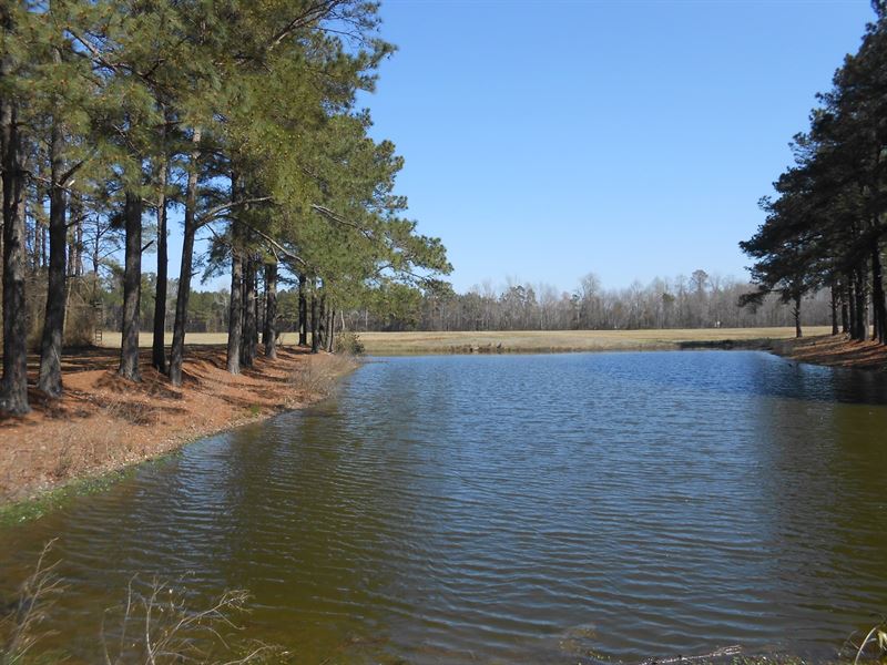 Farmland Beaufort County NC : Chocowinity : Beaufort County : North Carolina