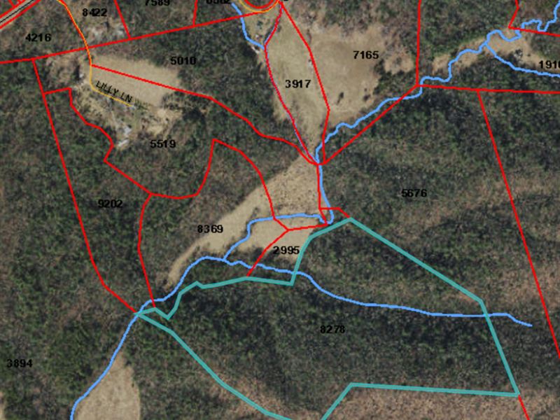 Land Lowgap Nc, Hunting : Lowgap : Surry County : North Carolina