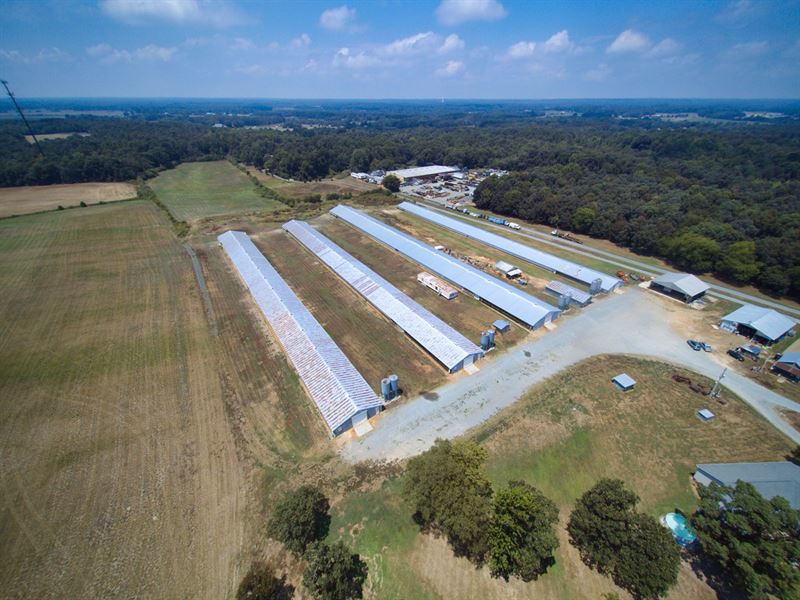 Turkey Farm in Union County NC : Monroe : Union County : North Carolina