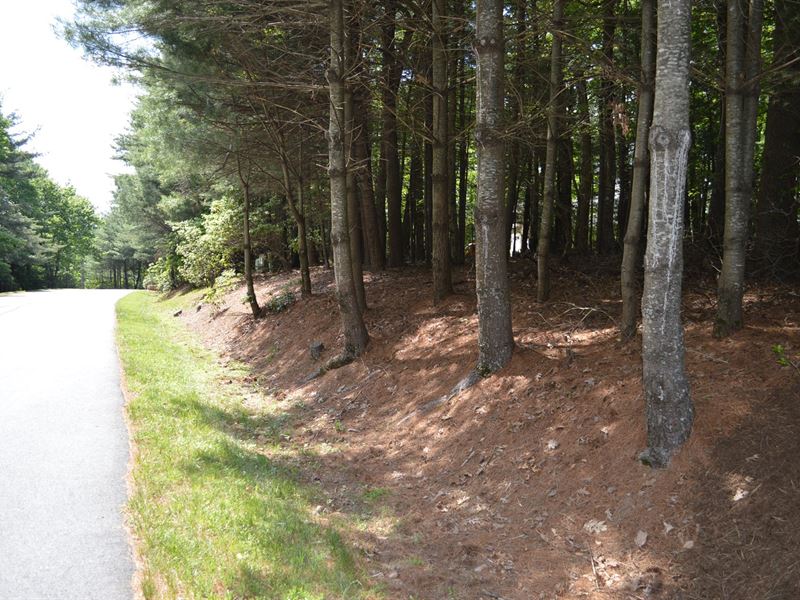 Wooded Building Lot Golf Course : Roaring Gap : Alleghany County : North Carolina