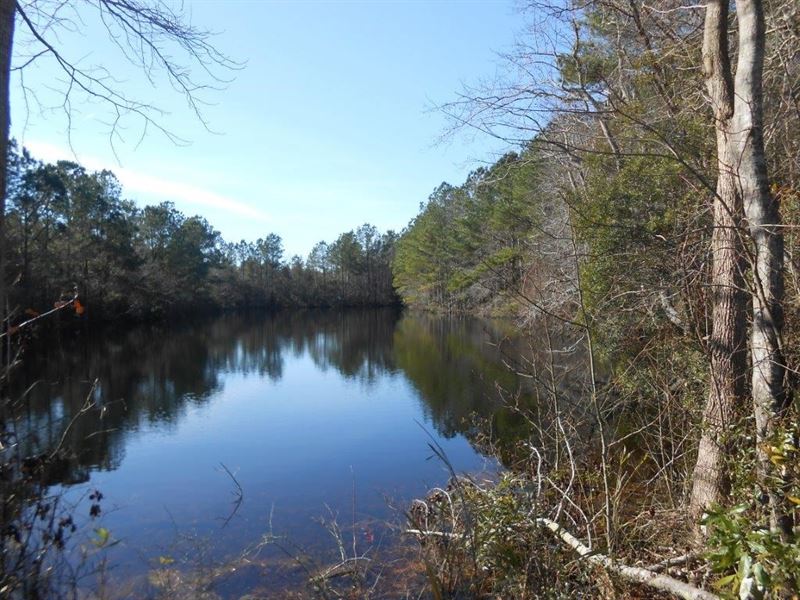 Washington County, NC Hunting Tract : Plymouth : Washington County : North Carolina