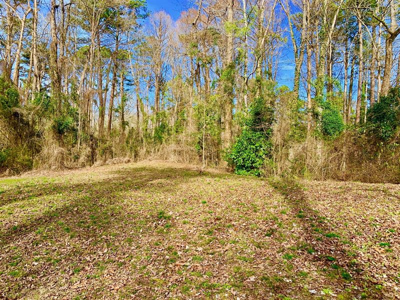 Residential Lot in Beaufort Co, NC : Washington : Beaufort County : North Carolina