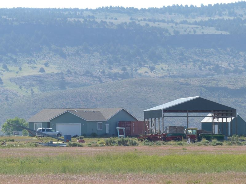 Farm/Ranch Near Crane Or : Burns : Harney County : Oregon