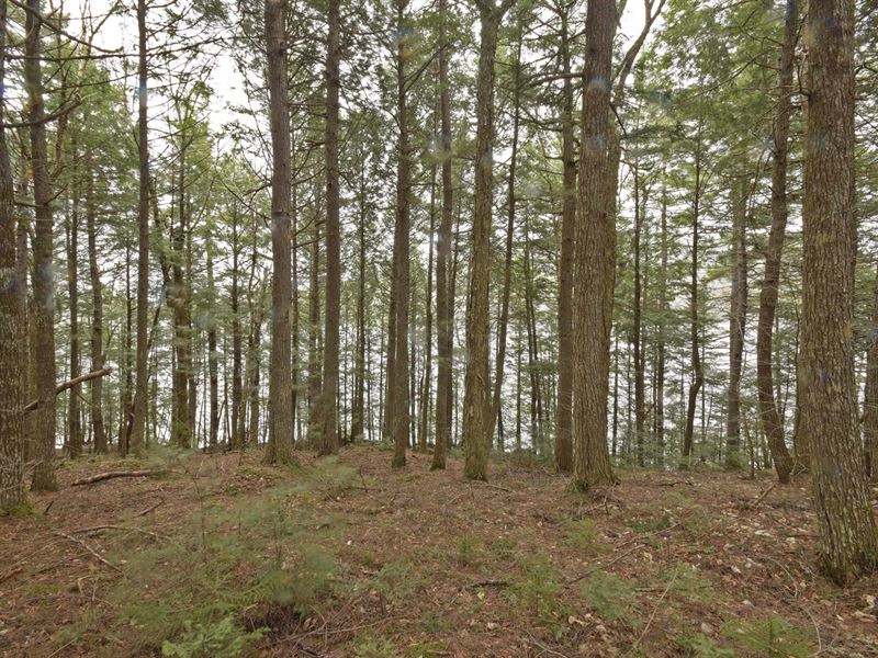Maine Lakefront Land in Lakview : Lakeville : Penobscot County : Maine