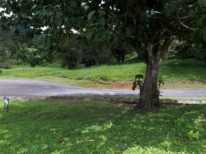 Mountain Lot Santiago Apostol Altos : Altos Del Maria : Panama