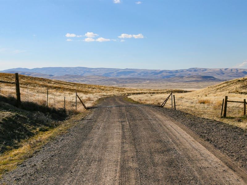 79.95 Acres In Eureka, NV Land for Sale by Owner in Eureka, Eureka