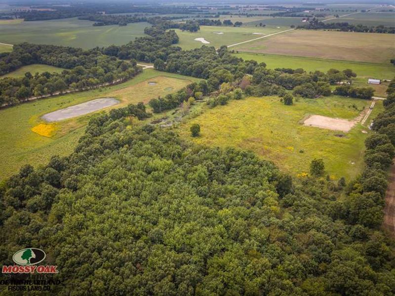 40 Acre Duck And Deer Hunting Farm Land for Sale in Columbus