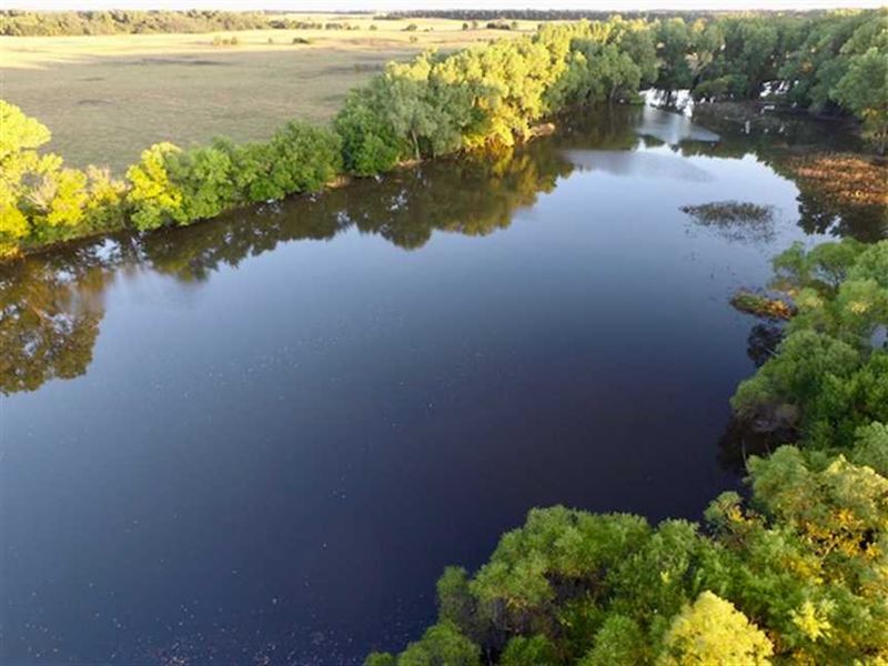 320 Acres For Sale in Stafford Land for Sale in Stafford, Stafford