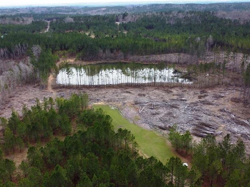 Nauvoo Recreational Tract : Nauvoo : Winston County : Alabama