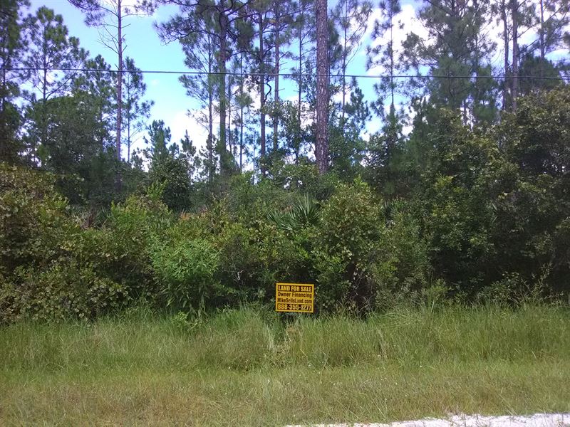 Daytona North, Mondex, Zoned Mobile : Bunnell : Flagler County : Florida