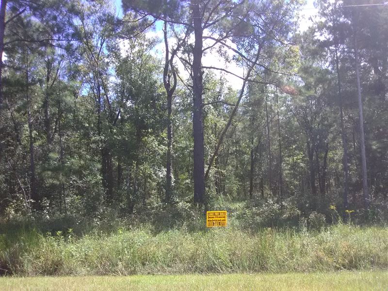 Flagler Estates Mobiles Ok Finance : Hastings : Saint Johns County : Florida