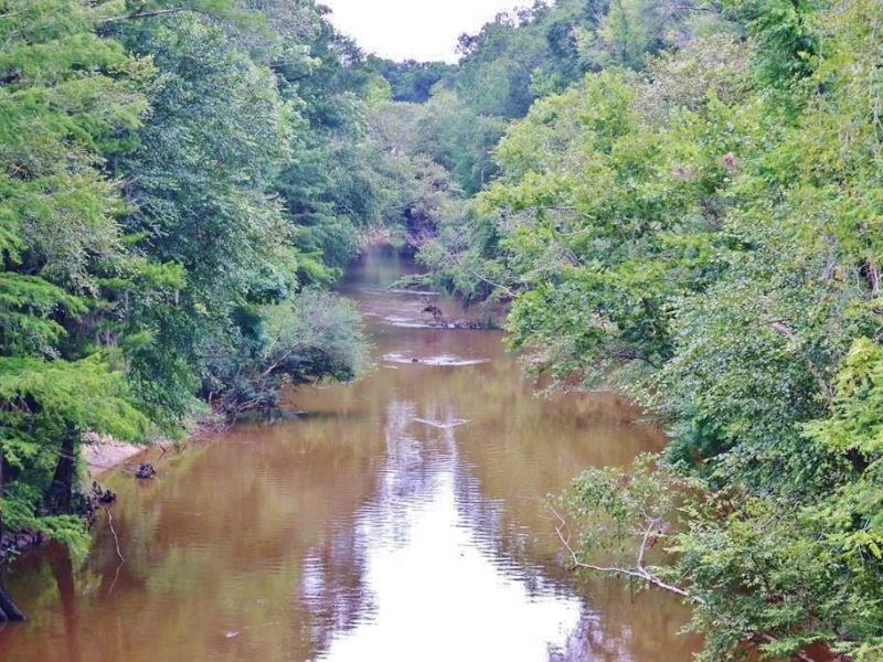 54 Acres Waterfront Timber Land Land for Sale in Buckatunna, Wayne