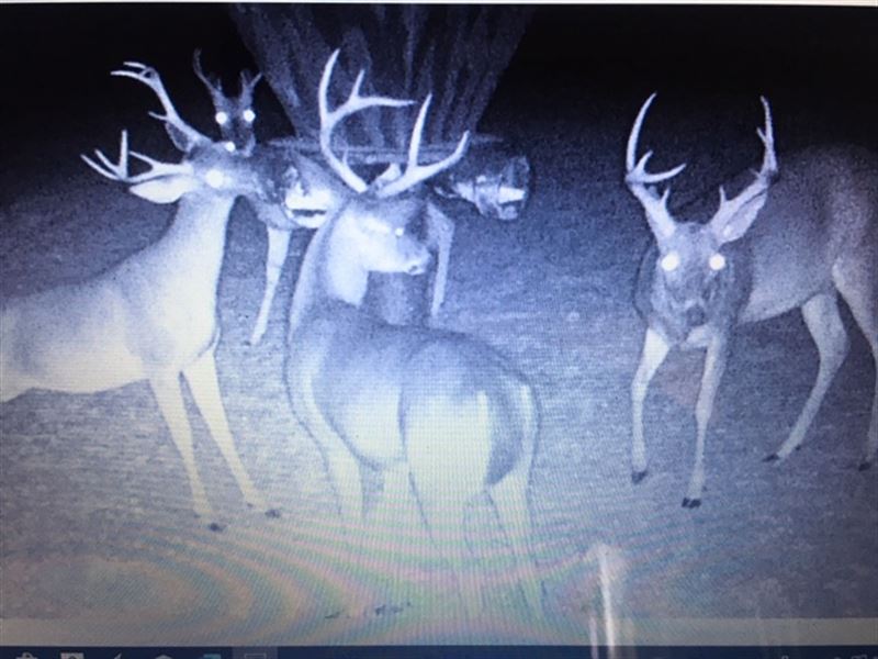 Home and 198.79 Acres : Roxie : Franklin County : Mississippi