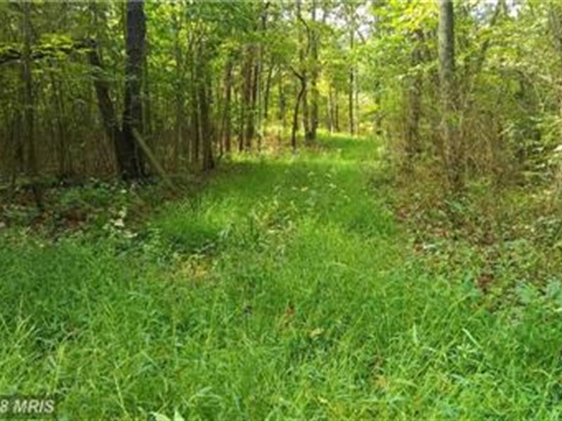 Blue Spruce Crest Haven Rd : Romney : Hampshire County : West Virginia
