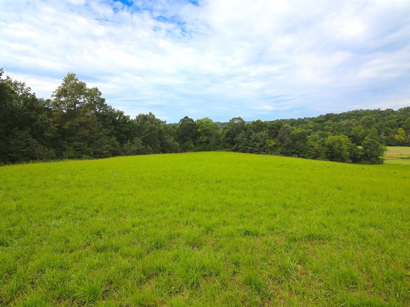 Land in Mammoth Spring Arkansas : Mammoth Spring : Fulton County : Arkansas