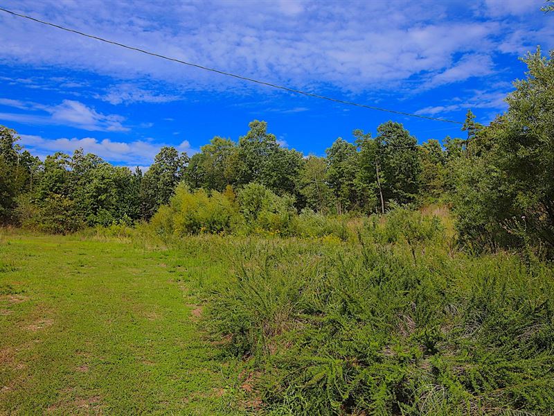 Land for Sale in The Ozarks : Doniphan : Ripley County : Missouri