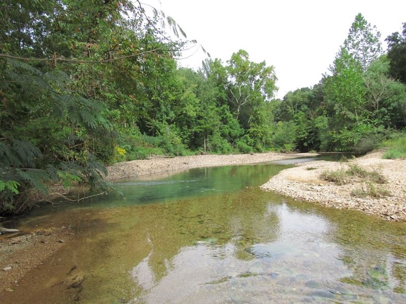 64.32 Acres Creek Road Frontage : Linden : Perry County : Tennessee