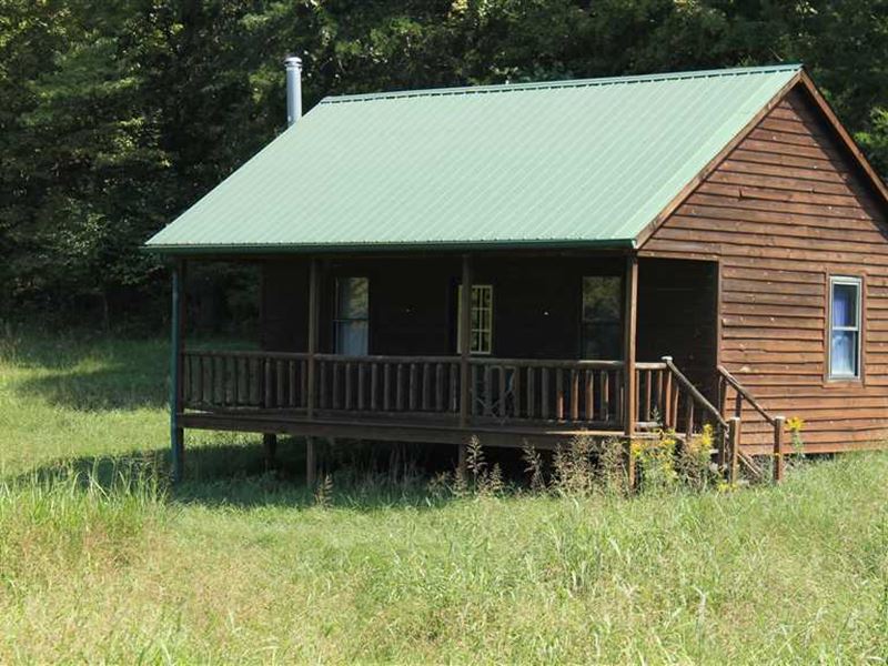 271 Acres, Incredible Hunting Wit : Munfordville : Hart County : Kentucky