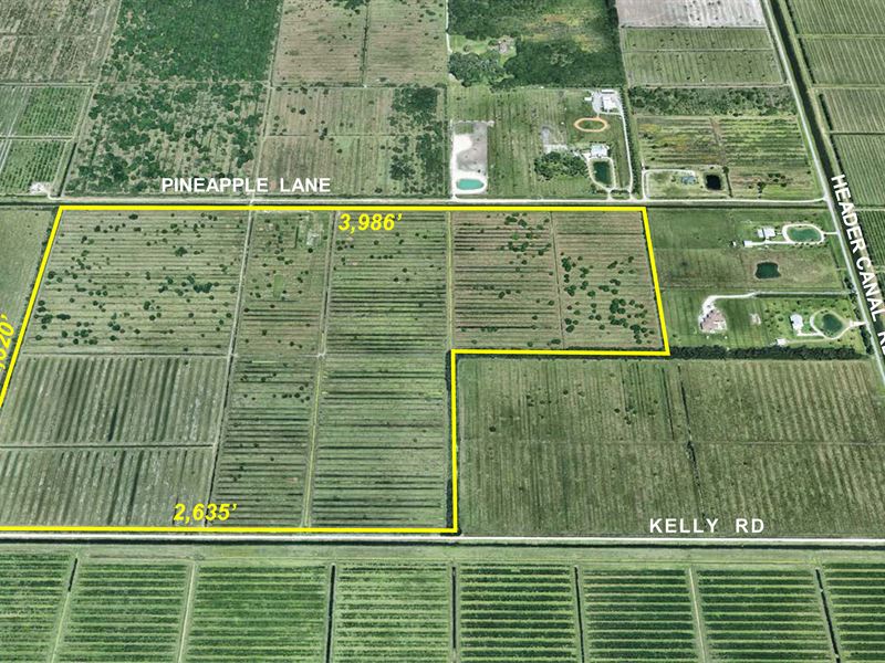 193 Ac Pasture, Cattle Working Pens : Fort Pierce : Saint Lucie County : Florida