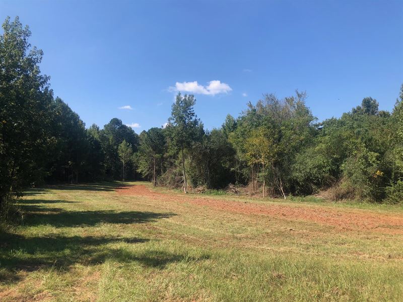 Little Cedar Creek Estate : Gray : Jones County : Georgia