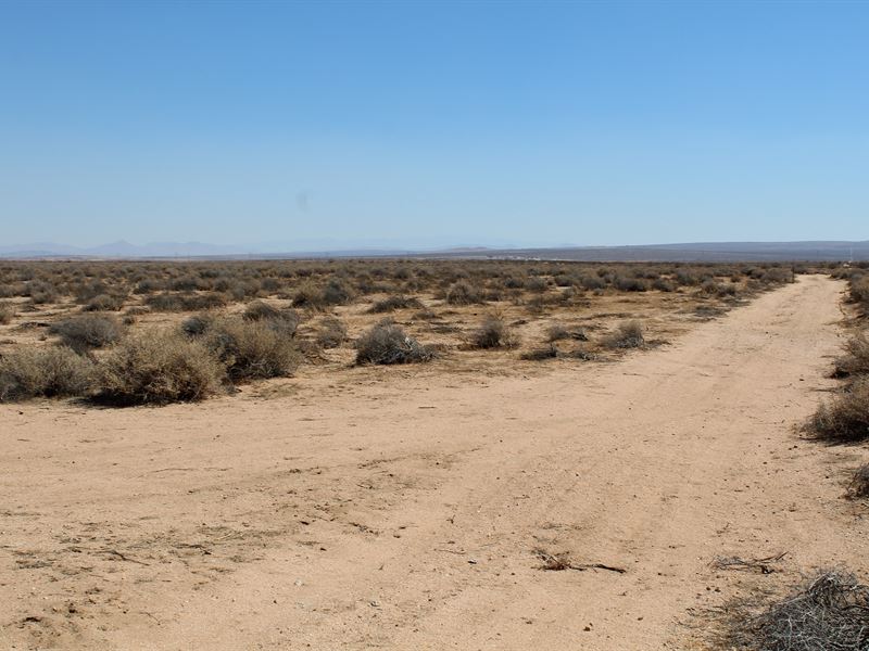 Mecca Of Man Land : Hinkley : San Bernardino County : California