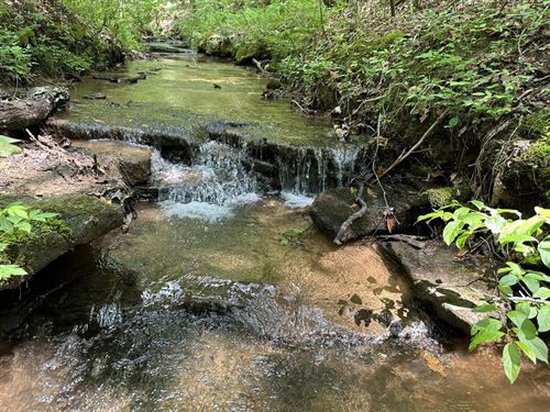 Marion County 115 : Haleyville : Marion County : Alabama