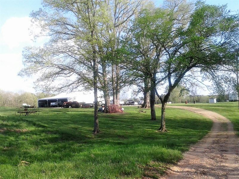 Country Acreage Southern Missouri : Dora : Ozark County : Missouri