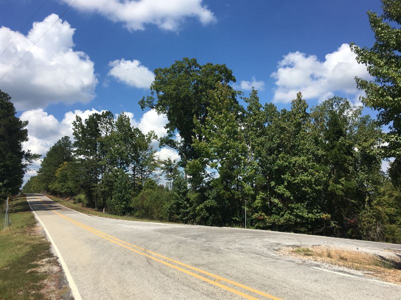 45.25 Acres in Calhoun County, MS Land for Sale in Big Creek, Calhoun