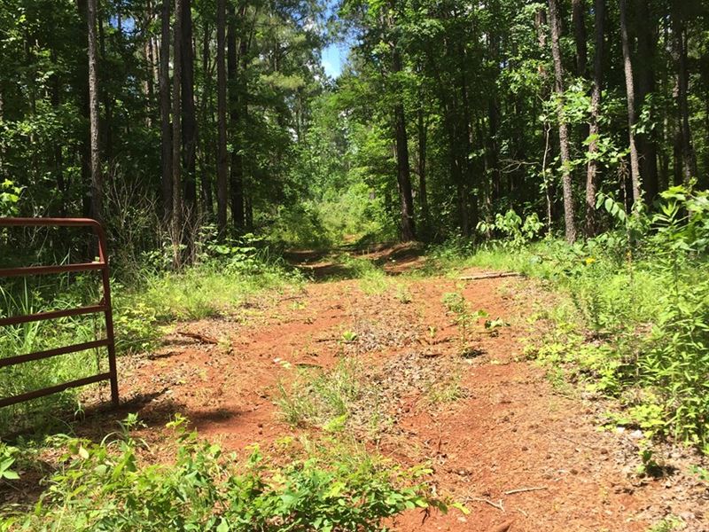 East Texas Hunting Land Land for Sale in Mount Enterprise, Rusk