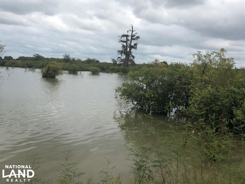 Dixie Farms, Delta Duck and Deer : Satartia : Yazoo County : Mississippi