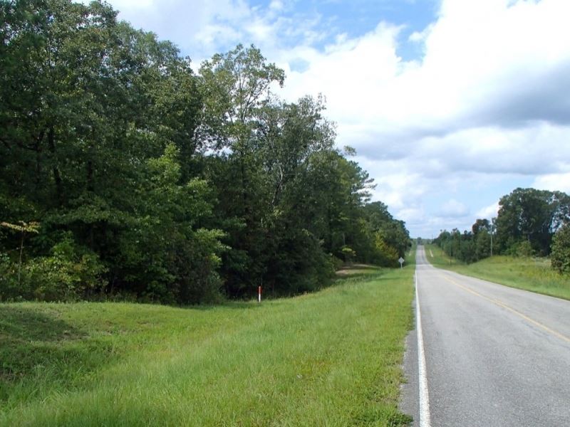 25 Acres in Winston County in Louis : Louisville : Winston County : Mississippi