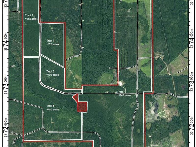 2,033 Acres Pine Timberland Joins : Kountze : Hardin County : Texas
