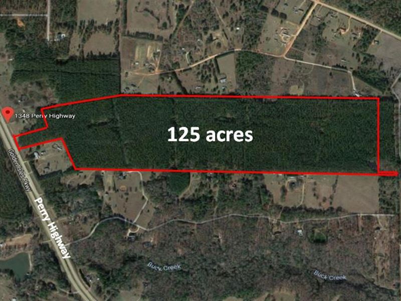 125 Acres in Pulaski County : Hawkinsville : Pulaski County : Georgia