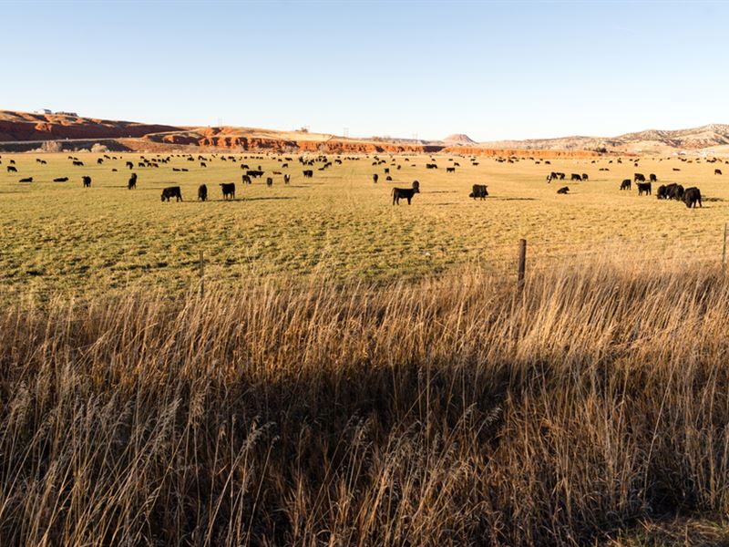 40 Acres In Sweetwater County, Wy Land for Sale by Owner in Rawlins