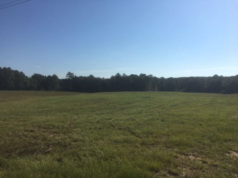 11 Acres Tanglewood Road : Magnolia : Pike County : Mississippi