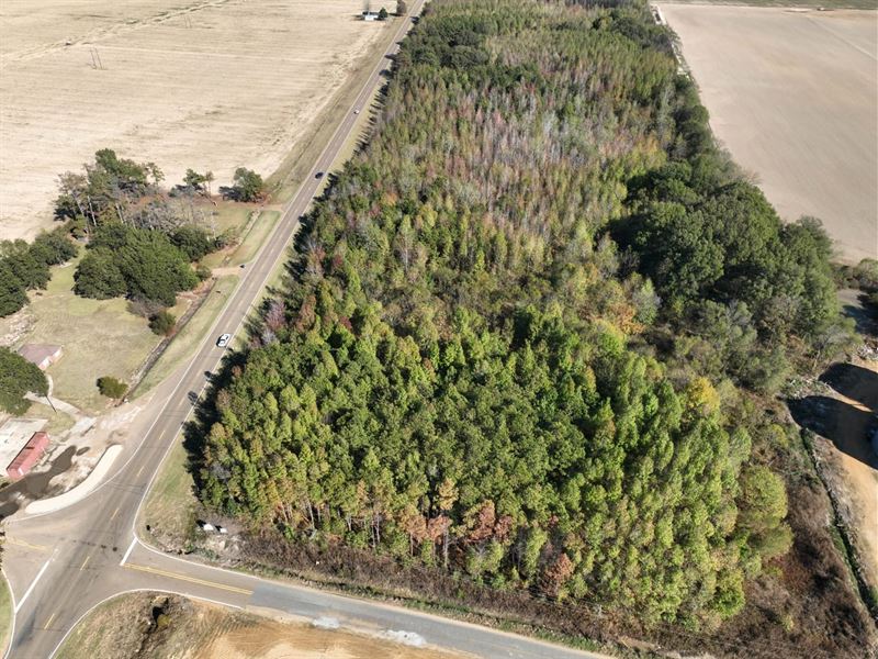 Panola County Lot 1, Highway 6 & Lo : Batesville : Panola County : Mississippi