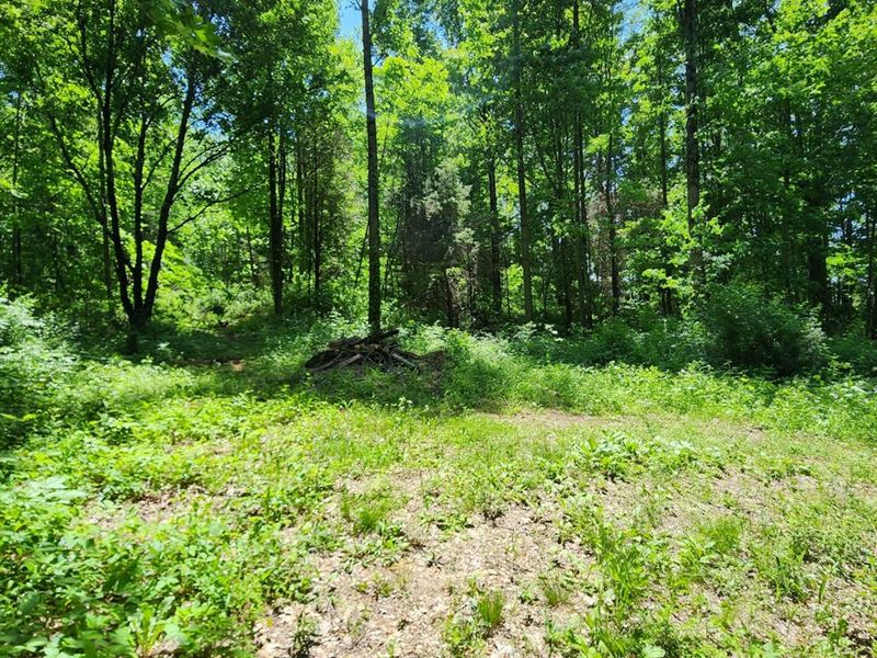 4.57 Acres Sunman : Sunman : Ripley County : Indiana
