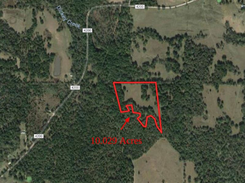 Secluded Hunting Land : Lovelady : Houston County : Texas