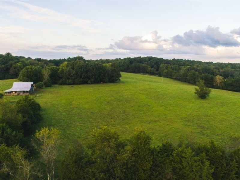 Large Acreage Farm Auction : Appomattox : Appomattox County : Virginia