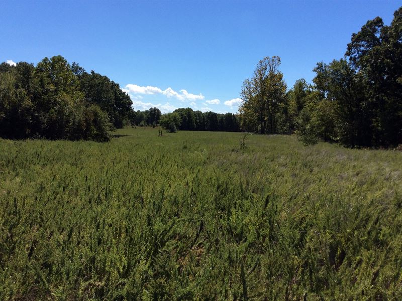 385 Acres For Hunting Land for Sale in Locust Grove, Mayes County