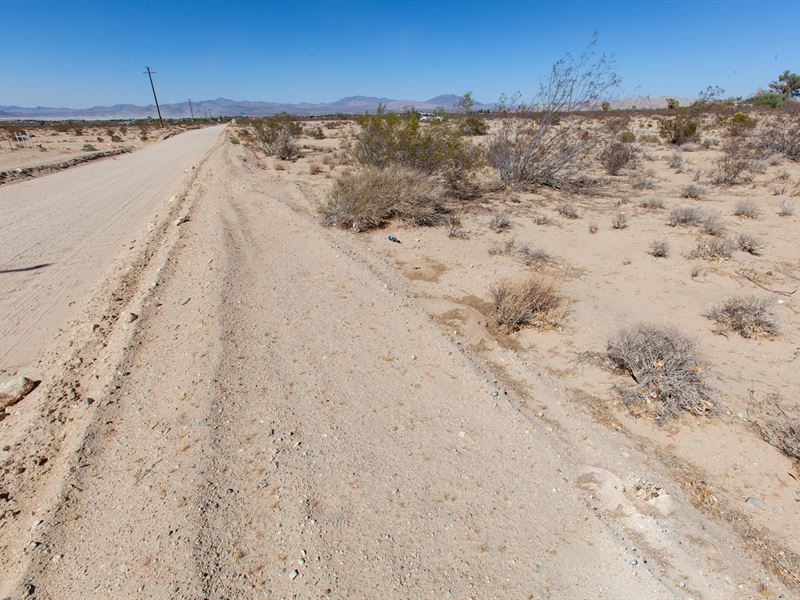 5 Acres Great Ca Hi-Desert Lucerne : Lucerne Valley : San Bernardino County : California