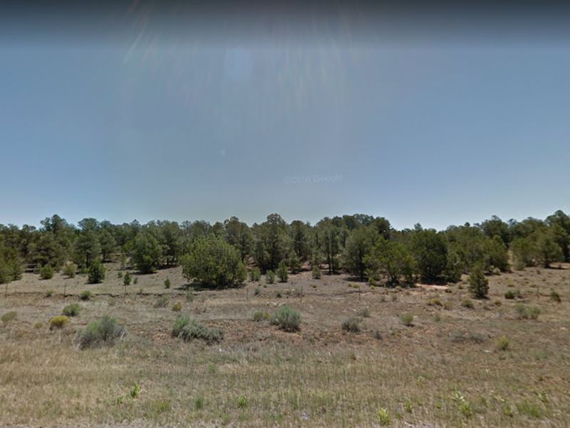 Build Your Homesite in 10.78 Acre : Fence Lake : Cibola County : New Mexico