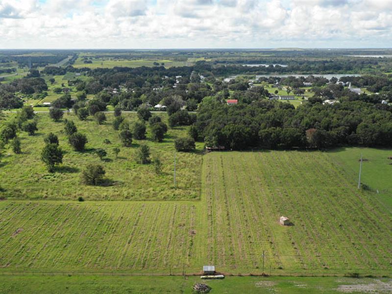 Bartow Former Blueberry Farm : Bartow : Polk County : Florida