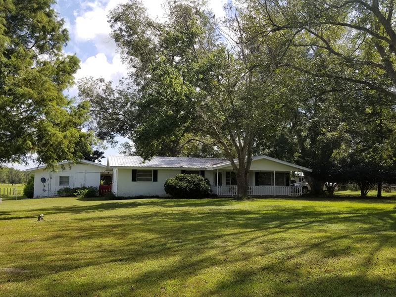 Florida Farm Land High Springs FL Land for Sale in High Springs