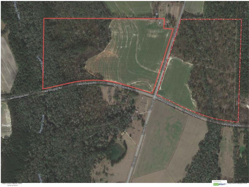 South Grady County Hunting Property : Whigham : Grady County : Georgia
