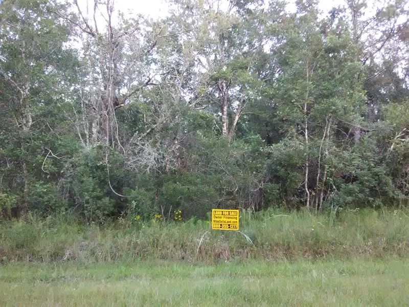 1.14 Acres Of Sweet Country Living : Hastings : Saint Johns County : Florida