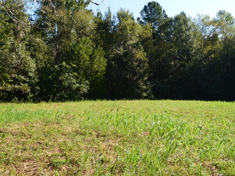 6.62+/- Acres On Devonshire Lane : Pacolet : Spartanburg County : South Carolina